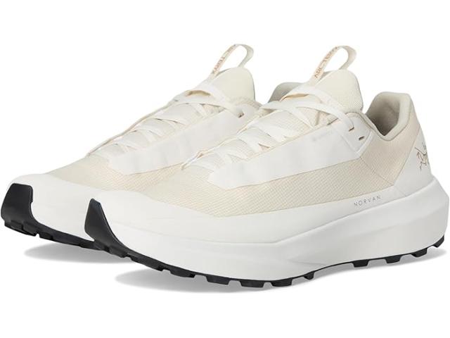 (取寄) アークテリクス レディース ノーバン LD 4 Gtx Arc'teryx women Norvan Ld 4 GTX Arctic Silk/Arctic Silk 2