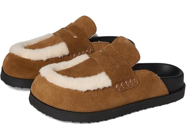 (取寄) スティーブマデン レディース  Steve Madden women Tomlin Chesnut Suede