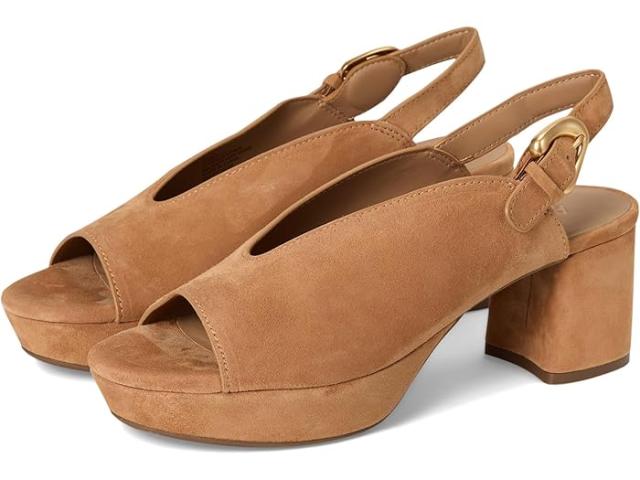 (取寄) エアロソールズ レディース コルネリア Aerosoles women Cornelia Tan Suede