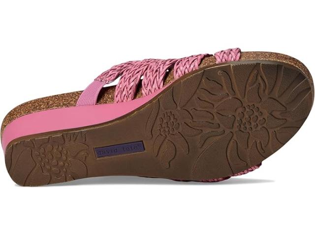 (取寄) デビッドテイト レディース ファビアナ David Tate women Fabiana Fuschia