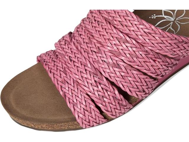 (取寄) デビッドテイト レディース ファビアナ David Tate women Fabiana Fuschia