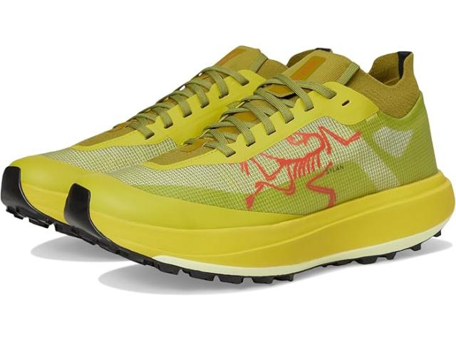 (取寄) アークテリクス メンズ サイラン プロ Arc'teryx men Sylan Pro Dark Euphoria/Dark Euphoria