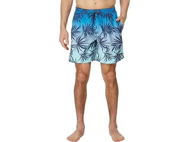 (取寄) クイックシルバー メンズ 17 エブリデイ ミックス ボレー ショーツ Quiksilver men 17