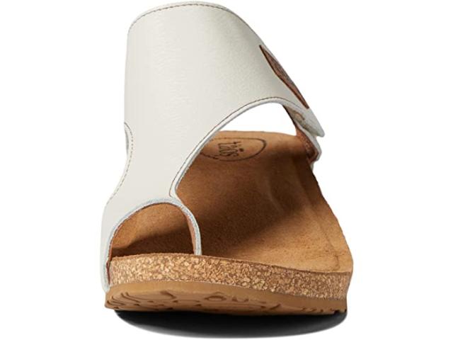 (取寄) タオス フットウェア レディース ギフト 2 Taos Footwear women Gift 2 Classic White 取寄) タオス フットウェア レディース ギフト 2 Taos Footwear women