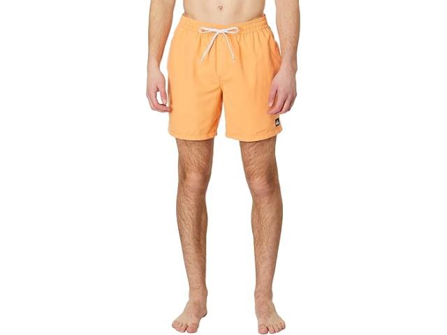 (取寄) クイックシルバー メンズ 17 エブリデイ ソリッド ボレー ショーツ Quiksilver men 17