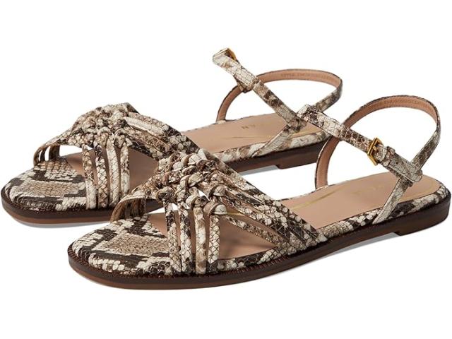 (取寄) コールハーン レディース ジトニー ノット サンダル Cole Haan women Jitney Knot Sandals Sandollar Soho Snake Prnt Leather