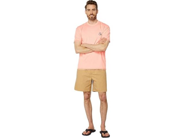 (取寄) クイックシルバー メンズ ヘリテージ ヘザー ショート スリーブ サーフ ティー Quiksilver men Heritage Heather Short Sleeve Surf Tee Fresh Salmon Heatherの通販は