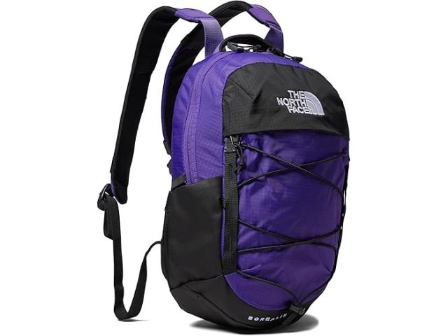 (取寄) ノースフェイス ボレアリス ミニ バックパック The North Face The North Face Borealis Mini Backpack Peak Purple/TNF Blackの通販は