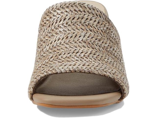 取寄) セイシェル レディース アダプト Seychelles women Seychelles