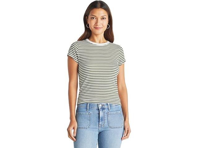 (取寄) スプレンディッド レディース キャンディス ショート スリーブ クルー Splendid women Splendid Candice Short Sleeve Crew Olive Stripeの通販は