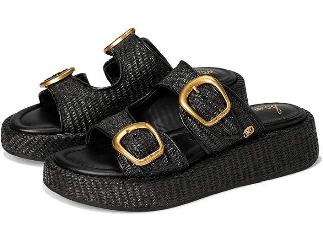 (取寄) サムエデルマン レディース ネリッサ Sam Edelman women Nerissa Black