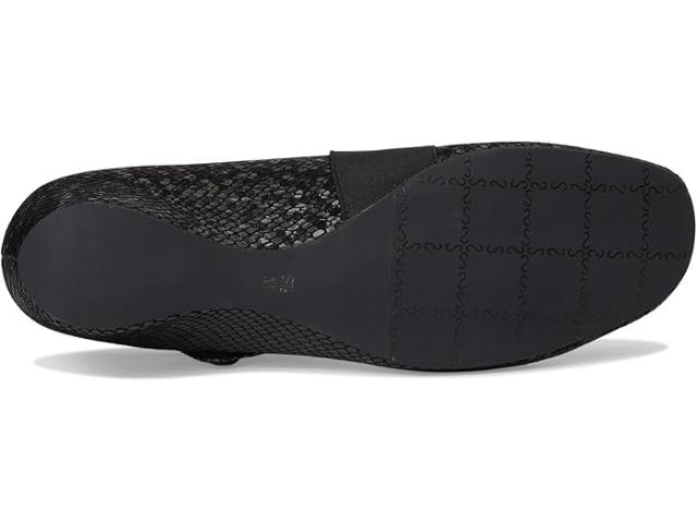 (取寄) ヴァネリ レディース メアリー Vaneli women Mary Black Preston