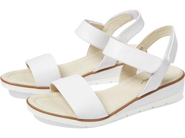 (取寄) デビッドテイト レディース スカラ David Tate women David Tate Scala White