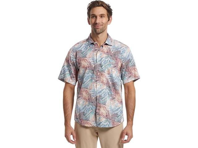 (取寄) トミーバハマ メンズ トルトラ カルタゴ パーム  Bahama men Tortola Cartago Palms Santa Ana