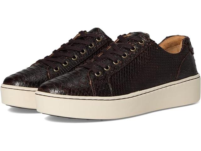 (取寄) ボーン レディース ミラ Born women Mira Brown (Snake Print)