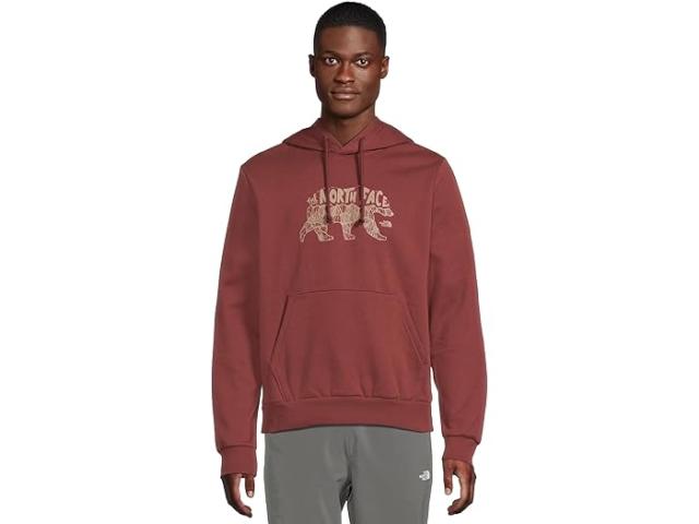 (取寄) ノースフェイス メンズ エボリューション TNF ベアー ブーディ グラフィック The North Face men Evolution TNF Bear Hoodie Graphic Sumac