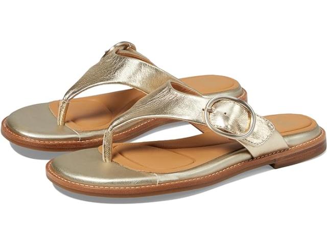 (取寄) ソフト レディース ナンシア Sofft women Sofft Nancia Platinoの通販は