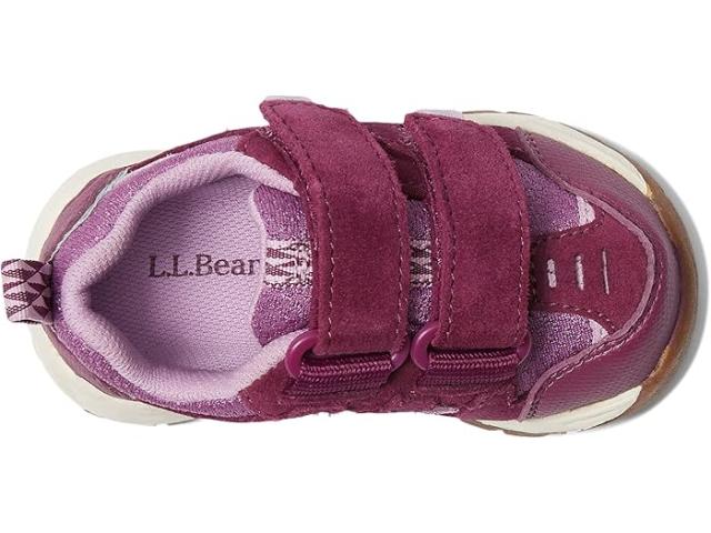 (取寄) キッズ トレイル モデル ロウ ハイカー (トドラー) L.L.Bean Kids kids Trail Model Low Hiker (Toddler) Violet Chalk/Purple Clover
