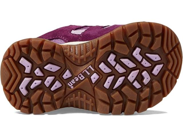 (取寄) キッズ トレイル モデル ロウ ハイカー (トドラー) L.L.Bean Kids kids Trail Model Low Hiker (Toddler) Violet Chalk/Purple Clover