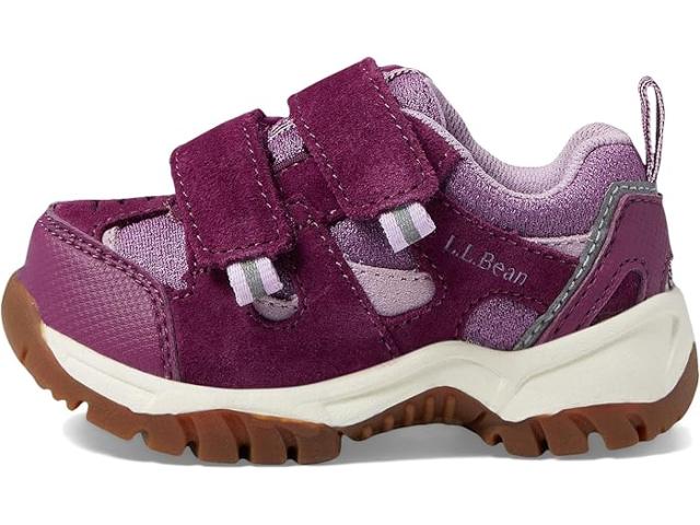 (取寄) キッズ トレイル モデル ロウ ハイカー (トドラー) L.L.Bean Kids kids Trail Model Low Hiker (Toddler) Violet Chalk/Purple Clover