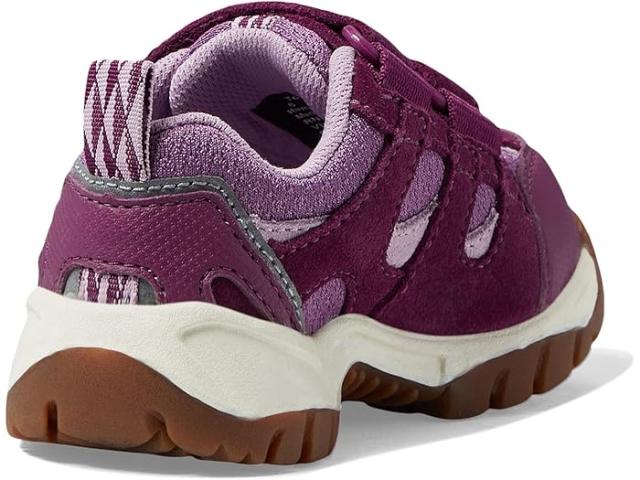 (取寄) キッズ トレイル モデル ロウ ハイカー (トドラー) L.L.Bean Kids kids Trail Model Low Hiker (Toddler) Violet Chalk/Purple Clover
