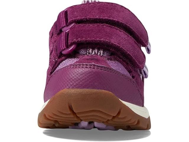 (取寄) キッズ トレイル モデル ロウ ハイカー (トドラー) L.L.Bean Kids kids Trail Model Low Hiker (Toddler) Violet Chalk/Purple Clover