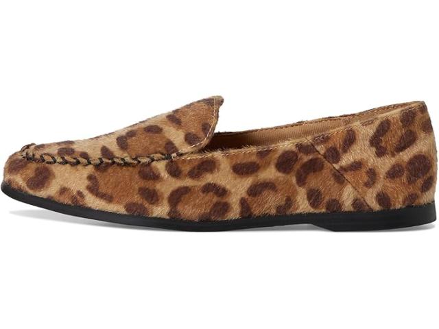 (取寄) レディース マクソン DV by Dolce Vita women Maxon Leopard Pony