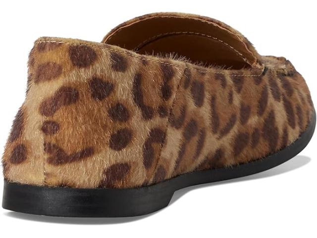 (取寄) レディース マクソン DV by Dolce Vita women Maxon Leopard Pony