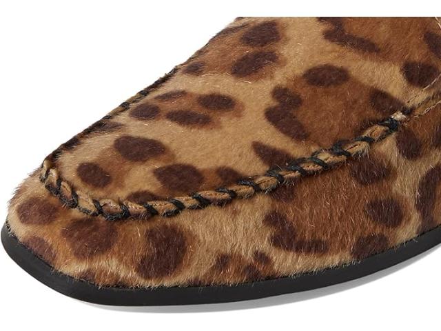 (取寄) レディース マクソン DV by Dolce Vita women Maxon Leopard Pony
