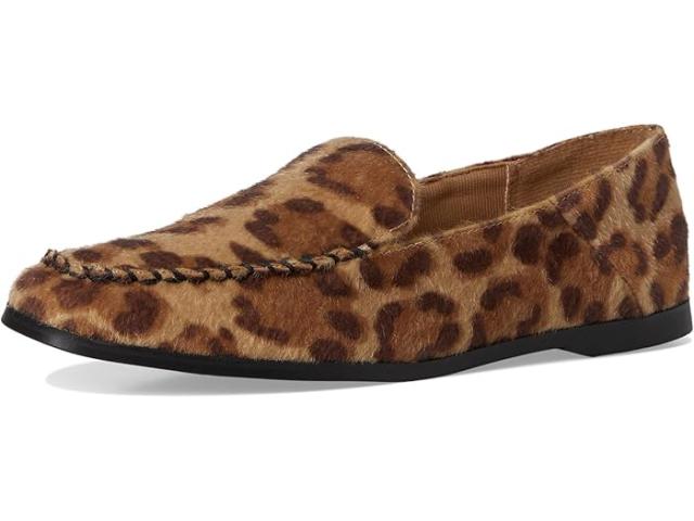 (取寄) レディース マクソン DV by Dolce Vita women Maxon Leopard Pony