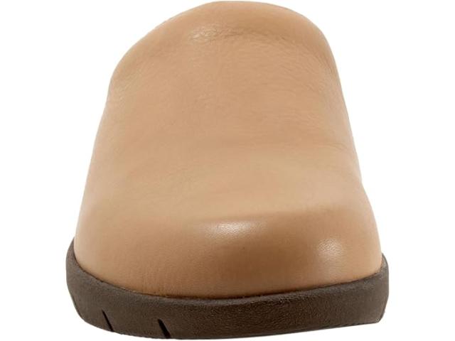 (取寄) ソフトウォーカー レディース アンドリア SoftWalk women SoftWalk Andria Beigeの通販は
