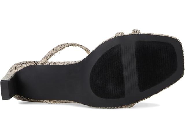 (取寄) レディース スターリット DV by Dolce Vita women Starlit Exotic