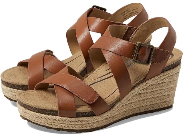 (取寄) エイトレックス レディース アンナ Aetrex women Aetrex Anna Cognac