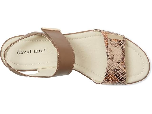 (取寄) デビッドテイト レディース シビック David Tate women Civic Camel Multi