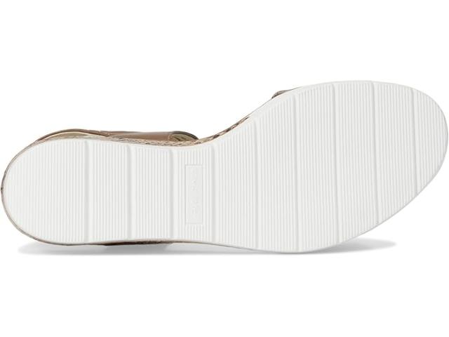 (取寄) デビッドテイト レディース シビック David Tate women Civic Camel Multi