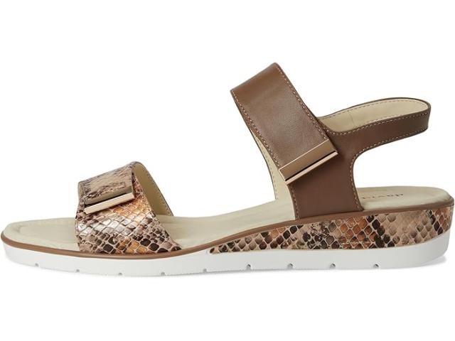 (取寄) デビッドテイト レディース シビック David Tate women Civic Camel Multi