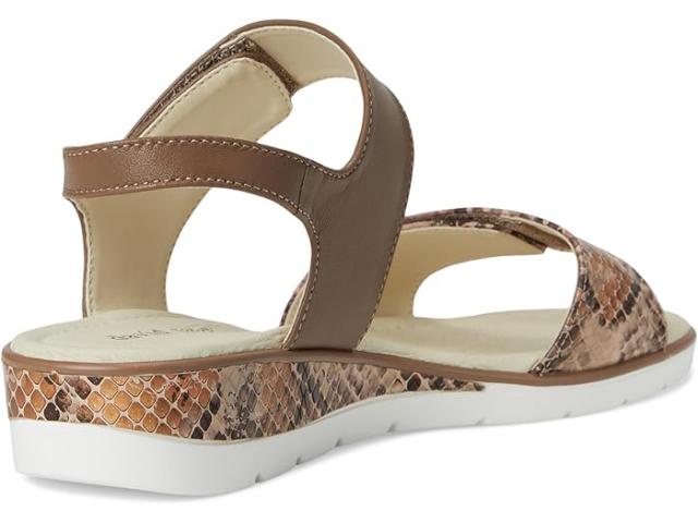 (取寄) デビッドテイト レディース シビック David Tate women Civic Camel Multi