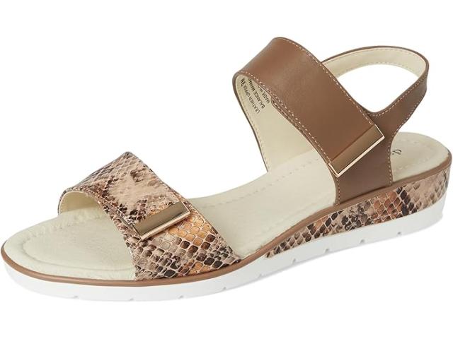 (取寄) デビッドテイト レディース シビック David Tate women Civic Camel Multi