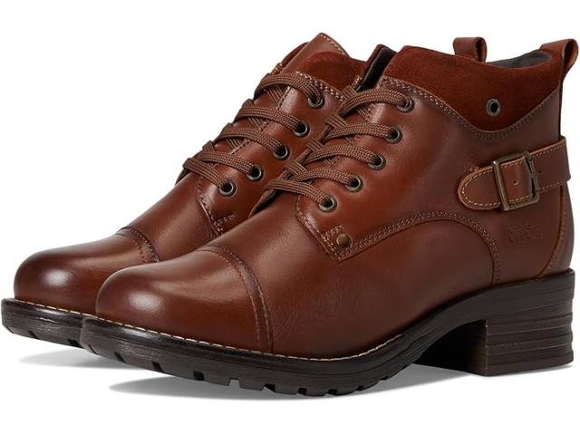 (取寄) タオス フットウェア レディース ミニ クレイブ Taos Footwear women Mini Crave Cognac