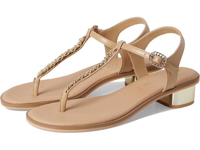 (取寄) アンクライン レディース テッサ Anne  women Tessa Biscotti