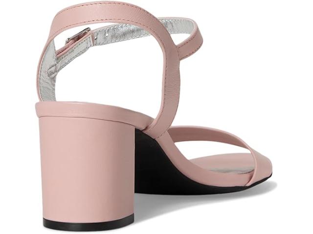 (取寄) デビッドテイト レディース エイジレス David Tate women Ageless Purslane