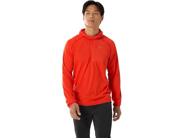 (取寄) アークテリクス メンズ デルタ プルオーバー フーディ Arc'teryx men Arc'teryx Delta Pullover Hoody Solarisの通販は 54,800円