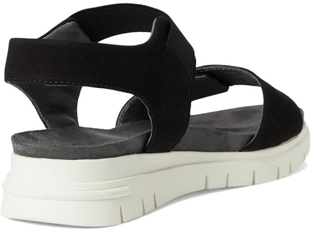 (取寄) デビッドテイト レディース パパヤ David Tate women Papaya Black