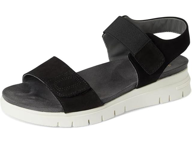 (取寄) デビッドテイト レディース パパヤ David Tate women Papaya Black