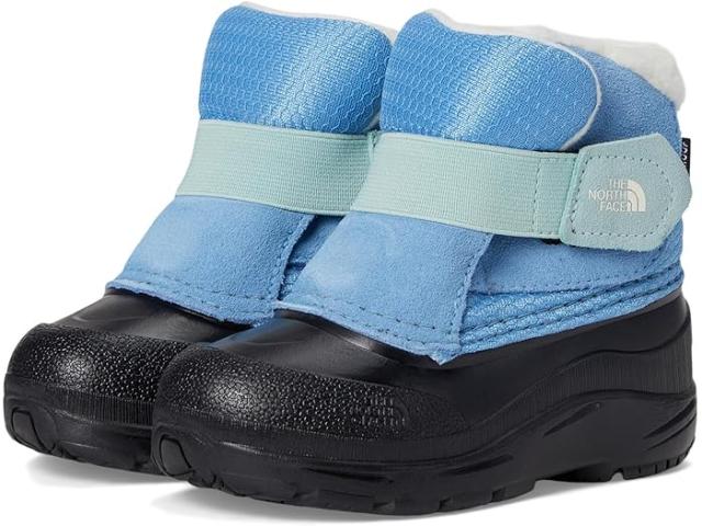 (取寄) ノースフェイス キッズ キッズ アルペングロー リ (トドラー) The North Face Kids kids The North Face Kids Alpenglow II (Toddler) Dark Cornflower/Muted Pineの通販は 21,410円