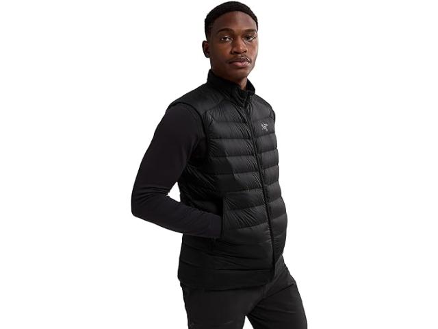 (取寄) アークテリクス メンズ セリウム ベスト Arc'teryx men Arc'teryx Cerium Vest Blackの通販は 86,280円