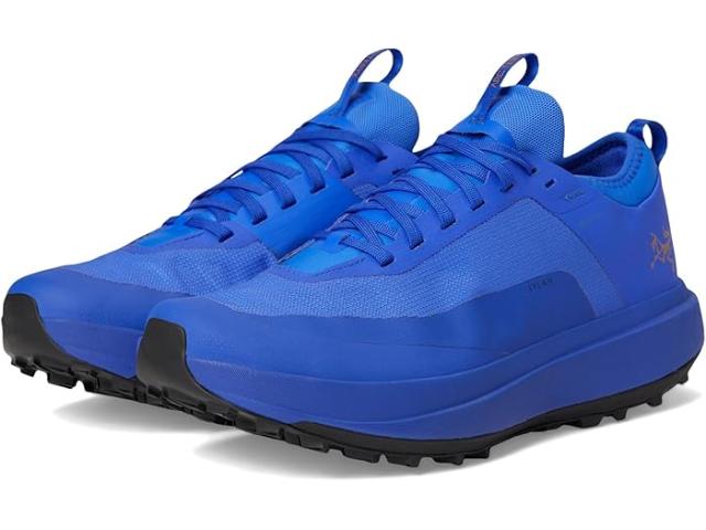 (取寄) アークテリクス レディース サイラン Gtx Arc'teryx women Sylan GTX Electric Indigo/Dark Electric Indigoの通販は