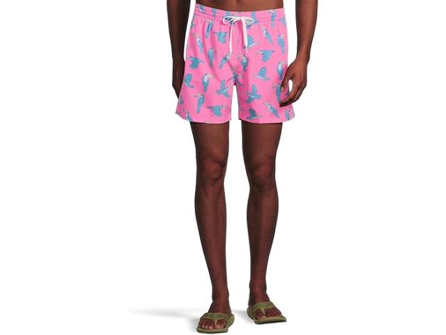 (取寄) チャビーズ メンズ ザ トゥーカン ドゥ イッツ 5.5 ライン スイム Chubbies men The Toucan Do Its 5.5