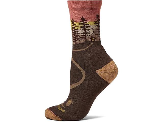 (取寄) ダーンタフバーモント レディース ノースウッズ ミクロ クルー ミッドウエイト ウィズ クッション Darn Tough Vermont women Northwoods Micro Crew Midweight with Cushion Earth