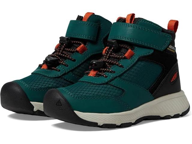 (取寄) キーン キッズ キッズ スキューア デュラブル イージー オン コンフォタブル ウォータープルーフ (トドラー/リトル キッド) KEEN Kids kids KEEN Kids Skua Durable Easy On Comfortable Waterproof (Toddler/Little Kid) Ponderosa Pine/Gold Flame